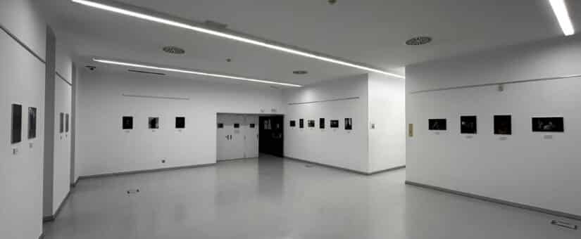 Diecinueve miradas al terror llenan el Lecrác durante el festival Terroríficamente Cortos